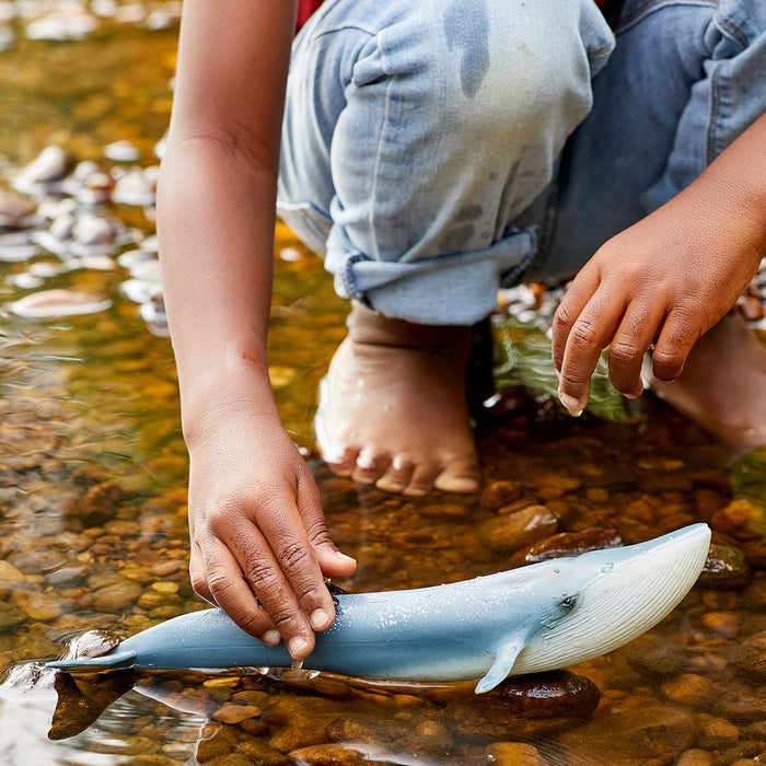 https://cdn.shopify.com/s/files/1/0761/9818/3222/files/Schleich_Lifestyle_BlueWhale_14806_0092_1200x1200_050a24a3-feb7-4a2e-9202-4ab85f254ba2.jpg?v=1695838810