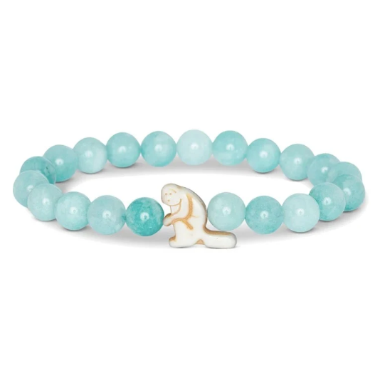 Lakeview Monkey Tracking Bracelet