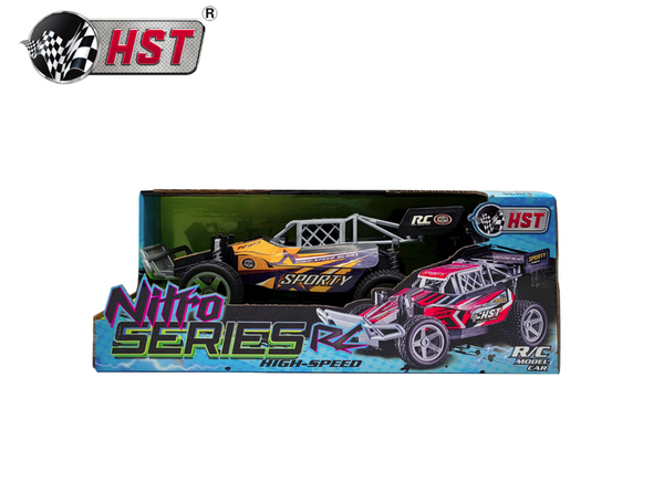 RC BUGGY Nitro Series RACE CAR REMOTE CONTROL