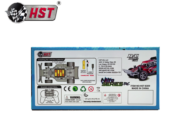 RC BUGGY Nitro Series RACE CAR REMOTE CONTROL