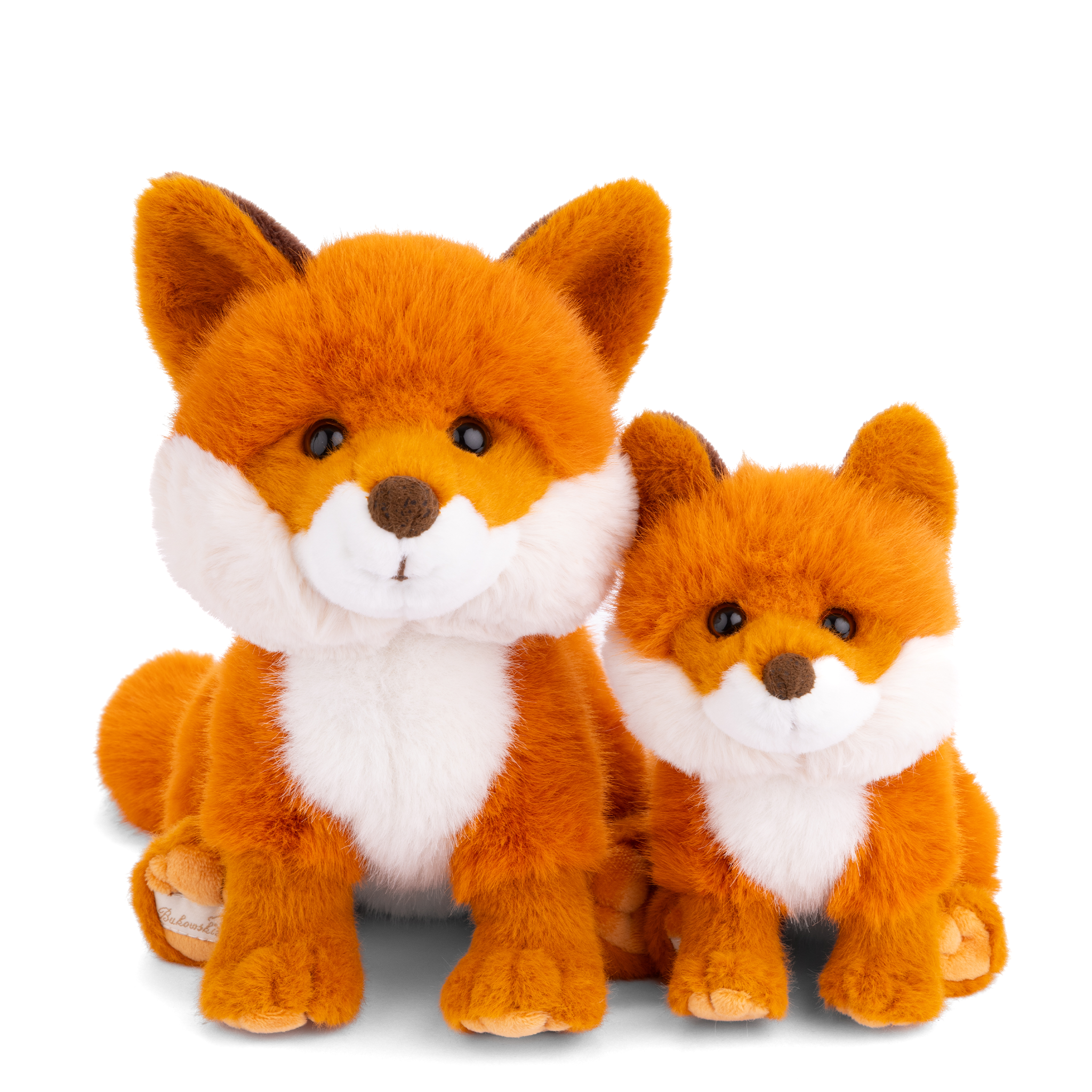 https://cdn.shopify.com/s/files/1/0502/2580/7536/files/SweetCleverfoxcleverfox2_1fb0c593-956c-4c9d-8221-0c7186d77c85.png?v=1754605145