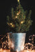 Lumin Essence Copper Wire Mini Lights 17ft 50 LED USB