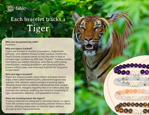 Fahlo The Prowl Bracelet Tiger Siam Stone