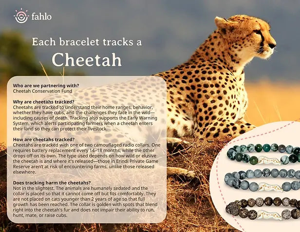Fahlo The Sprint Bracelet Cheetah Cloudburst Elastic Beaded Jewelry