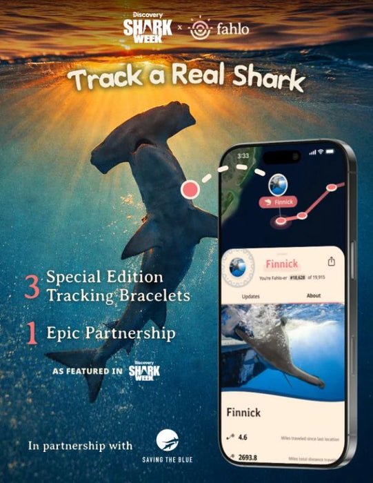 Fahlo The Voyage Shark Tracking Bracelet Tidal Wave