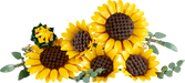 https://www.lego.com/cdn/cs/set/assets/blt212b362b828622c3/blt1c33118501c8da2f-11502_Prod_en-gb.png