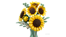 https://www.lego.com/cdn/cs/set/assets/blt397b4bd9c51db538/blt1c33118501c8da2f-11502_WEB_PRI_NOBG.png