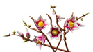 https://www.lego.com/cdn/cs/set/assets/bltba0c51d0e0229c10/bltf1012114bd36e2ac-11510_WEB_SEC01_NOBG.png