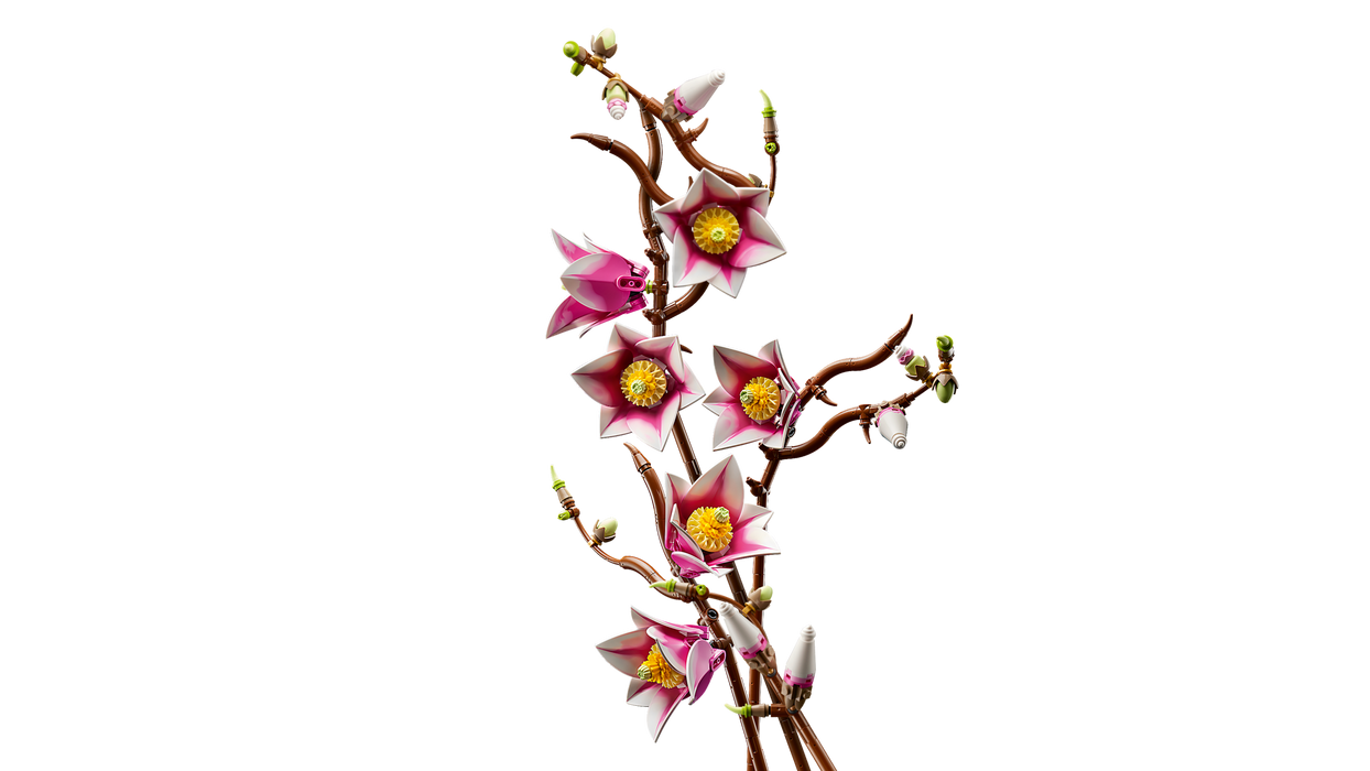 https://www.lego.com/cdn/cs/set/assets/blt6f4a3ceab894dd73/bltf1012114bd36e2ac-11510_WEB_SEC02_NOBG.png