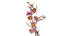 https://www.lego.com/cdn/cs/set/assets/blt6f4a3ceab894dd73/bltf1012114bd36e2ac-11510_WEB_SEC02_NOBG.png