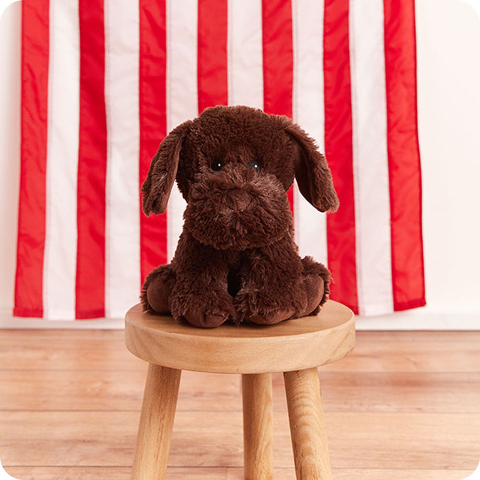 Warmies Chocolate Lab