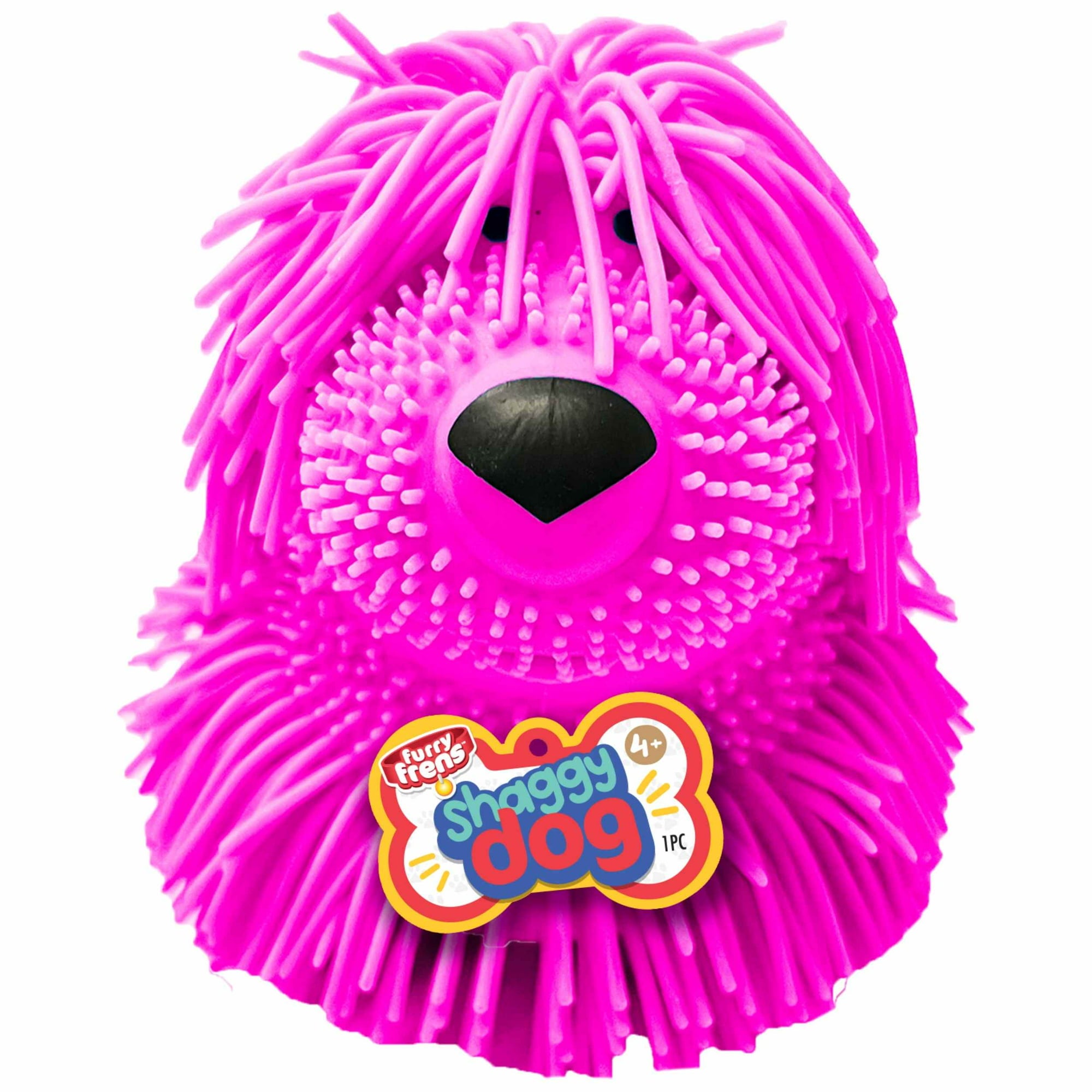 Furry Friend Shaggy Dog