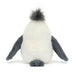 Chip Seag Seagull