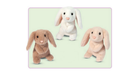 https://cdn.shoplightspeed.com/shops/605879/files/74393865/douglas-company-inc-barnyard-bunny-asst.jpg