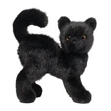 Scaredy Black Cat