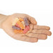 Sour Patch Kids Tropical Soft & Chewy Candy 3.5 oz