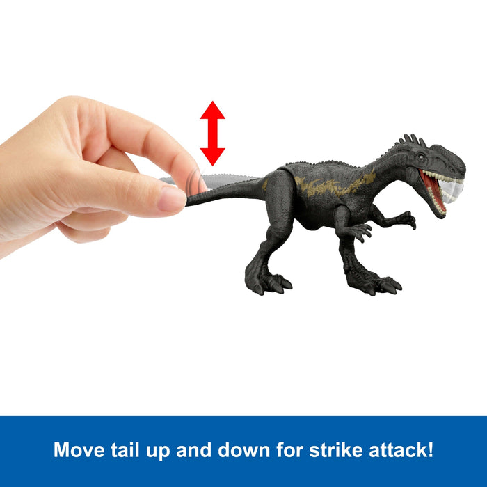 https://cdn.shopify.com/s/files/1/0600/0141/9429/files/e75a309e3e0b9e6ba009443ea6ec186c0dcbcec4.jpg?v=1768256156