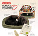 Black Lab