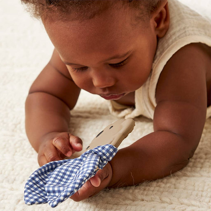 Bear Crinkle Crew Infant Teether