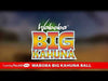 Waboba Big Kahuna Ball