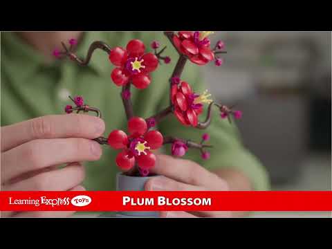 Plum Blossom Flower