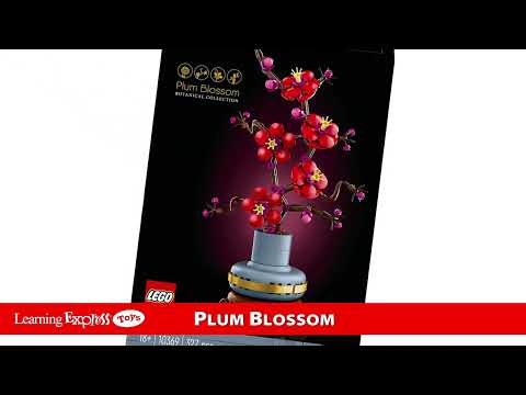 Plum Blossom Flower