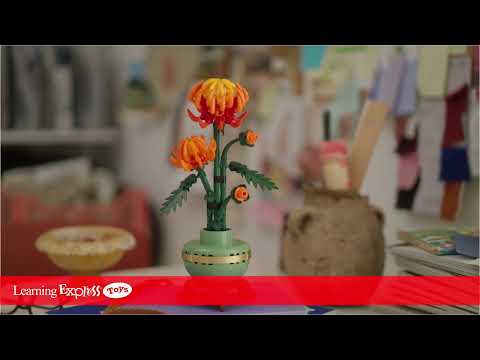 Chrysanthemum Flower