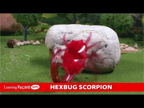Hexbug Scorpion