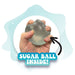 Super Duper Sugar Squisher Bear Donut Plush Fidget Sensory Toy