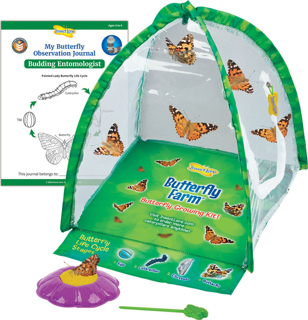 Insect Lore Butterfly Farm STEM Educational Nature Kit — Learning ...
