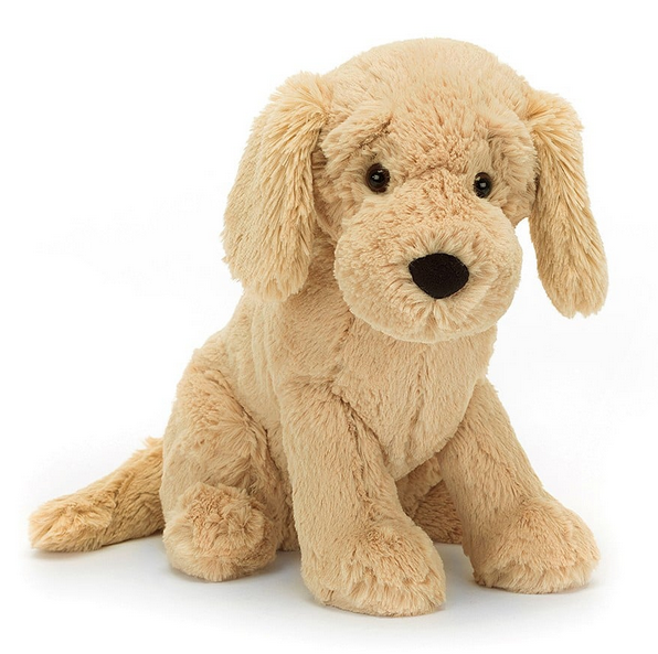 Tilly Golden Retriever