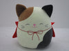 Halloween Cat Red Cape