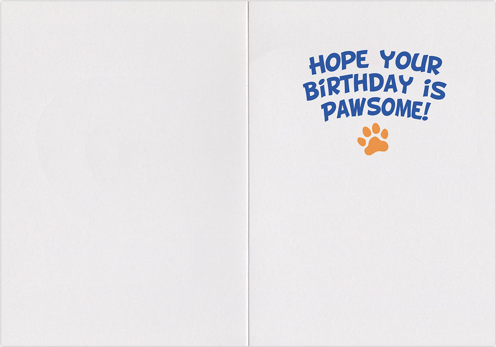 Peaceable Kingdom Husky Foil Birthday Card