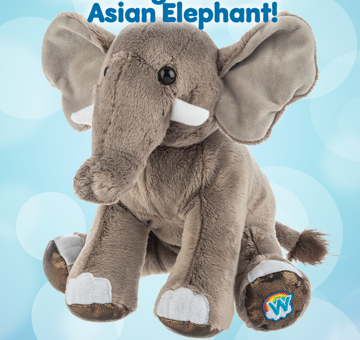 Asian Elephant Webkinz