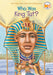 Who Was King Tut