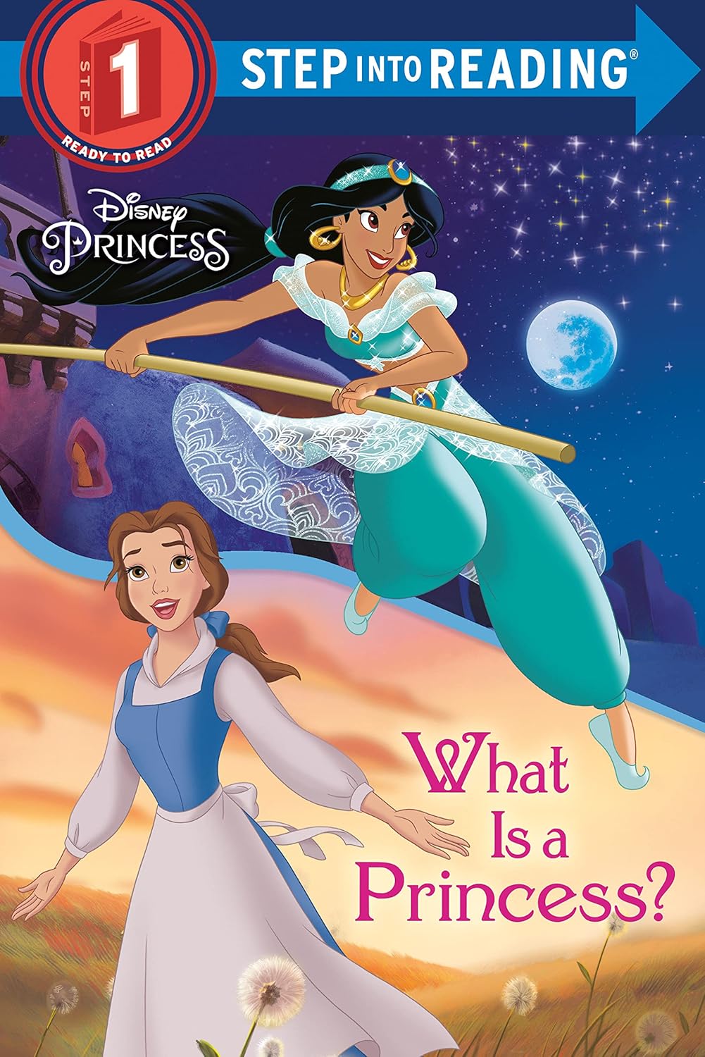 What Is a Princess Sir