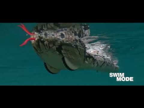 Remote Control Rattle Snake