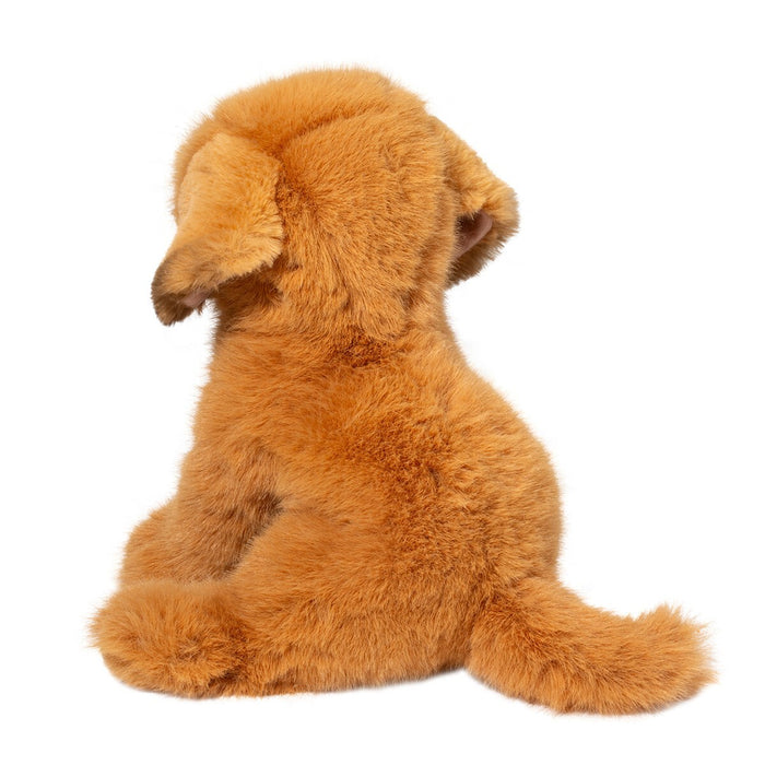 August Golden Retriever