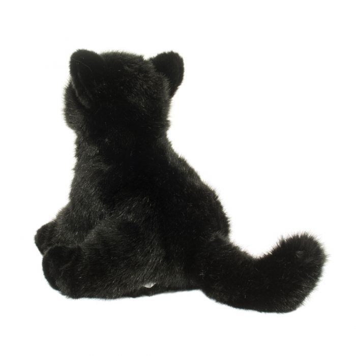 Salem Floppy Black Cat