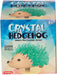 * Crystal Hedgehog