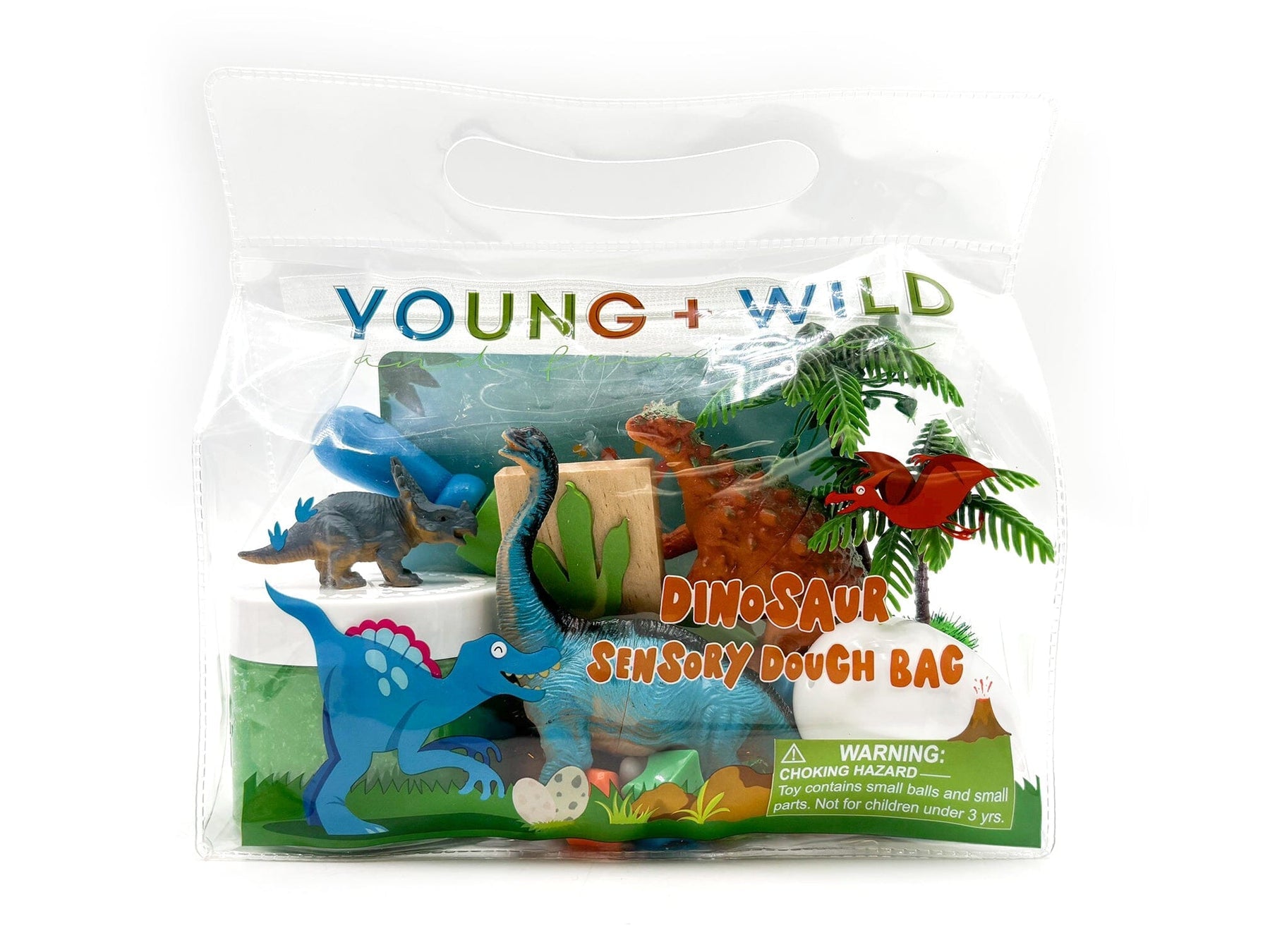 Dinosaur Sensory Bag