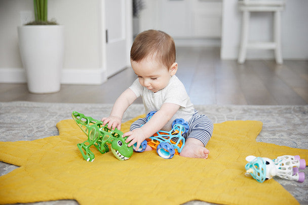 Little Kids Grabits Dog Sensory Baby Toy 40132