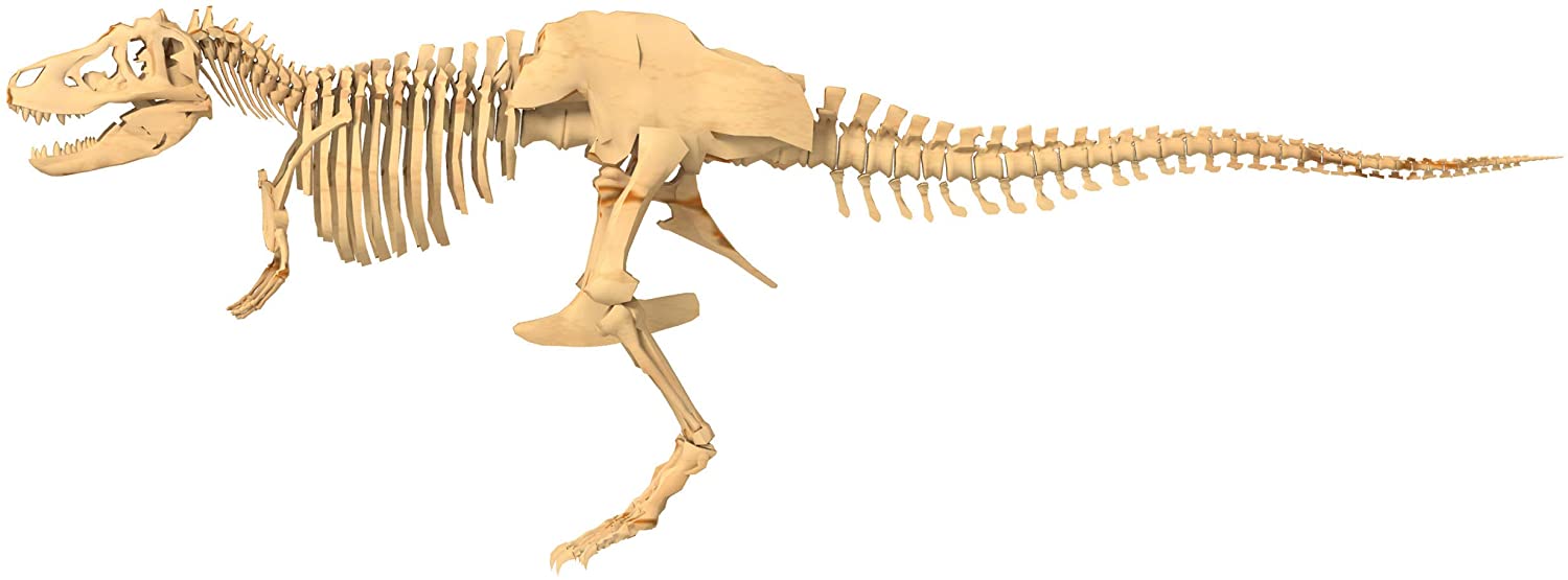 Giant Dinosaur Skeleton