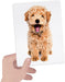 Montessori Tactile Flashcards