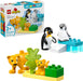 Penguins and Lions