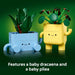 Happy Plants
