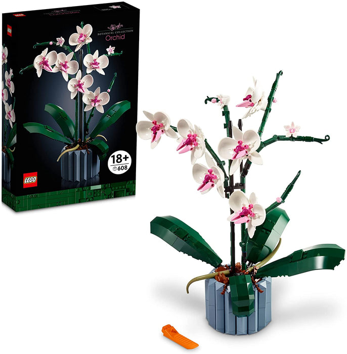 Orchid