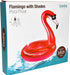 Flamingo Pool Float