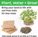 Build & Grow Magical Land