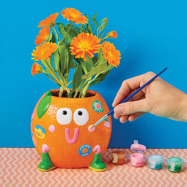 Paint Grow Orange
